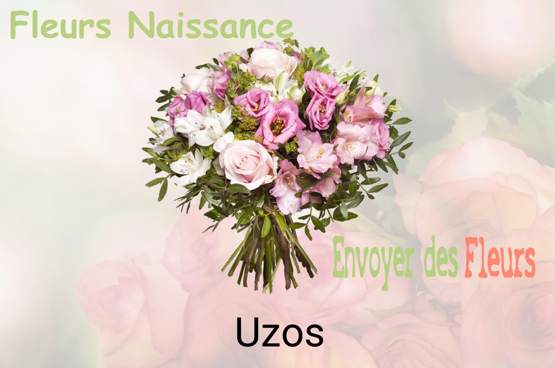 Bouquet de fleurs de naissance livré à Uzos